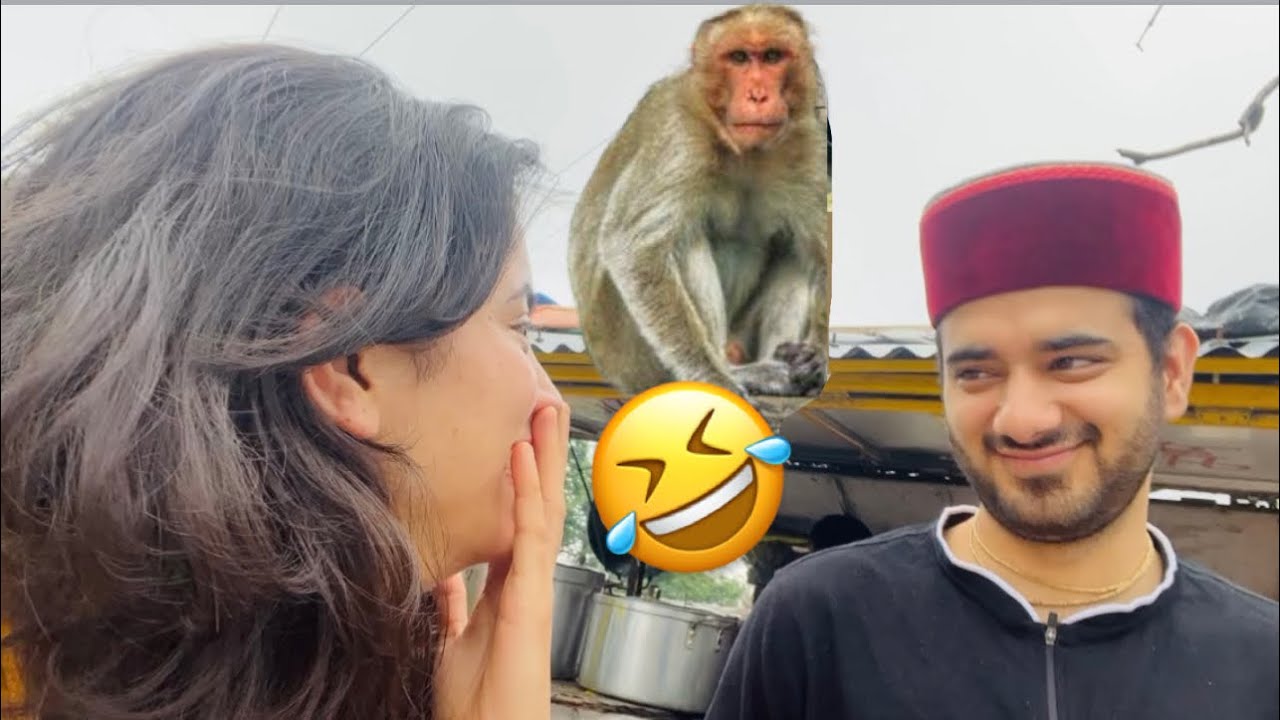 Monkey tried to steal our vegetables🤣🥗II