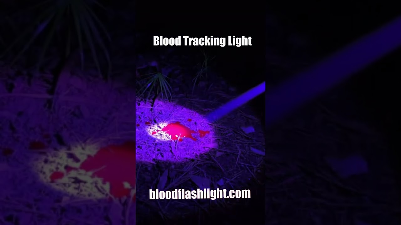 Best Blood Tracker Flashlight for Hunting At Night Best Gifts for Hunters