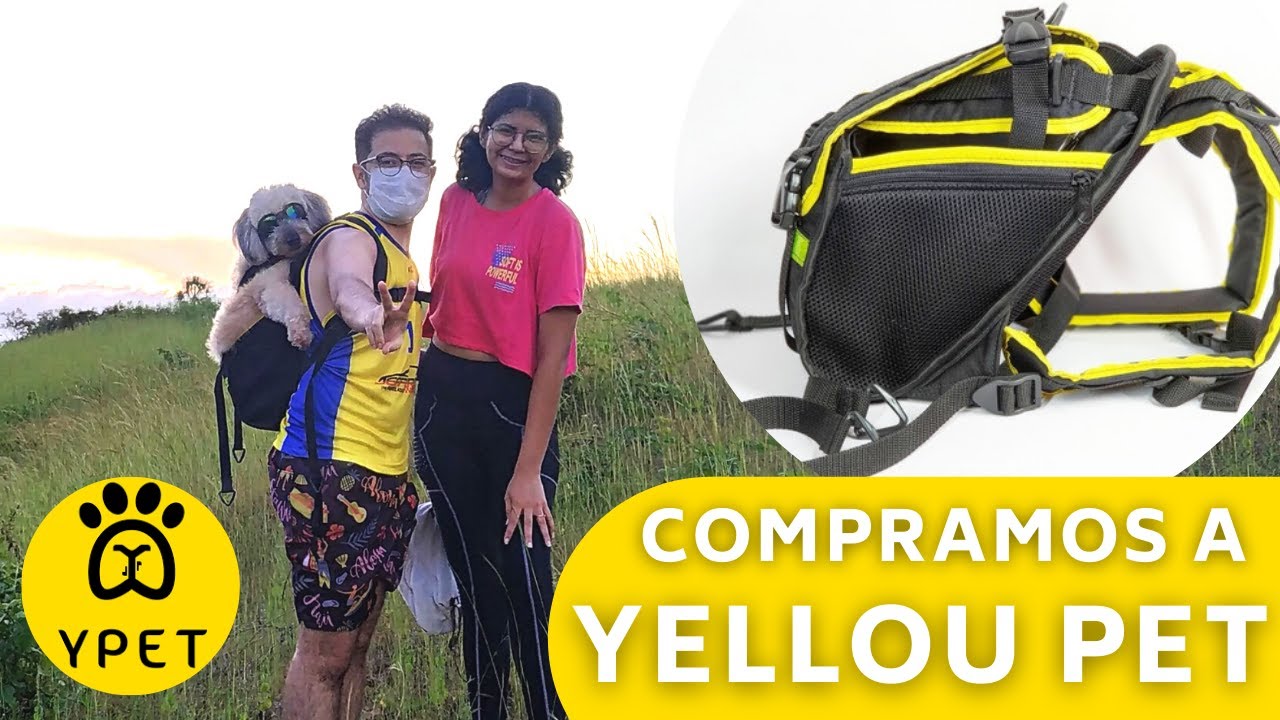 O que achamos da Mochila para cachorros Yellow Pet (Review e Impressões)