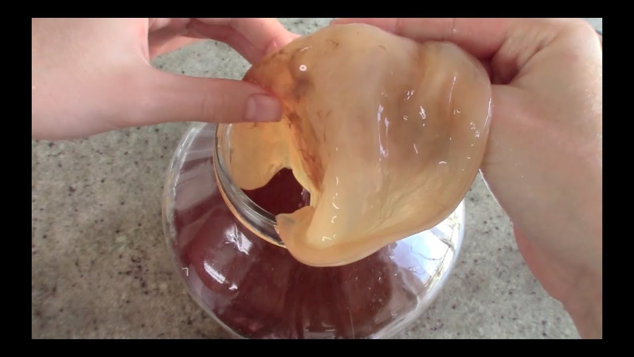 HOW TO BREW KOMBUCHA & MAKE SCOBY