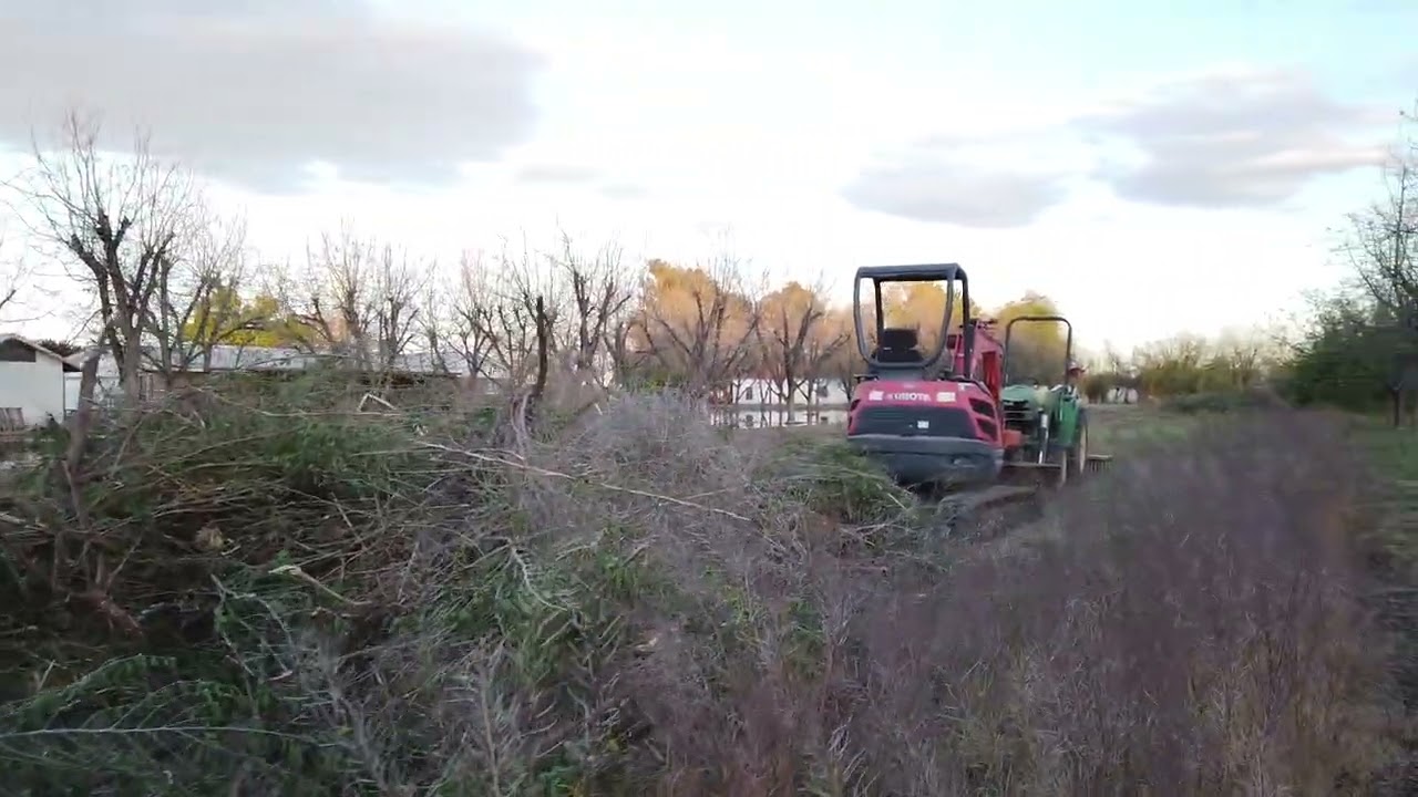 Making progress clearing raw land with John Deere 4300 and Kubota U25 Excavator