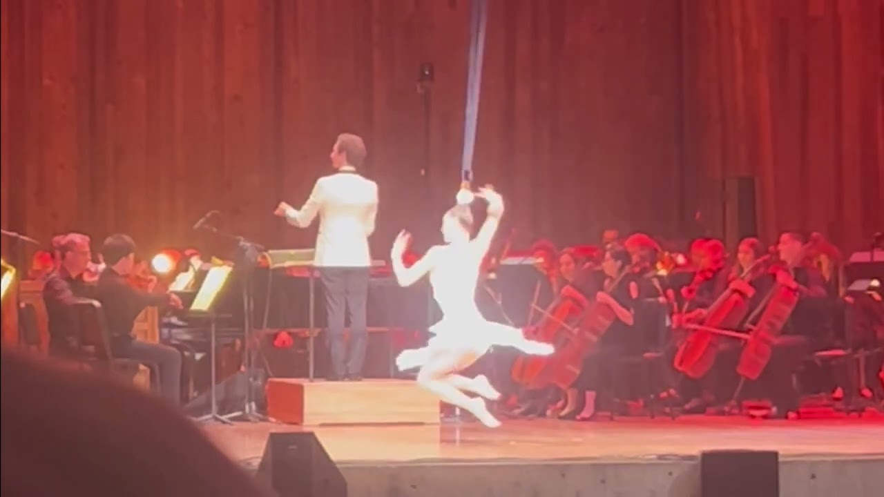 Hair Hanging reel by Aryn Shelander - highlights from 5 recent acts