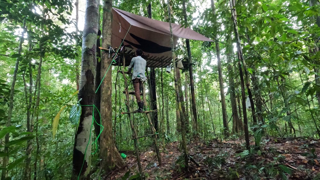 ขัดห้าง นอนกลางป่าดิบลึก เอาชีวิตรอดจากสัตว์ร้าย และฝูงทาก ep.86 sleep deep evergreen
