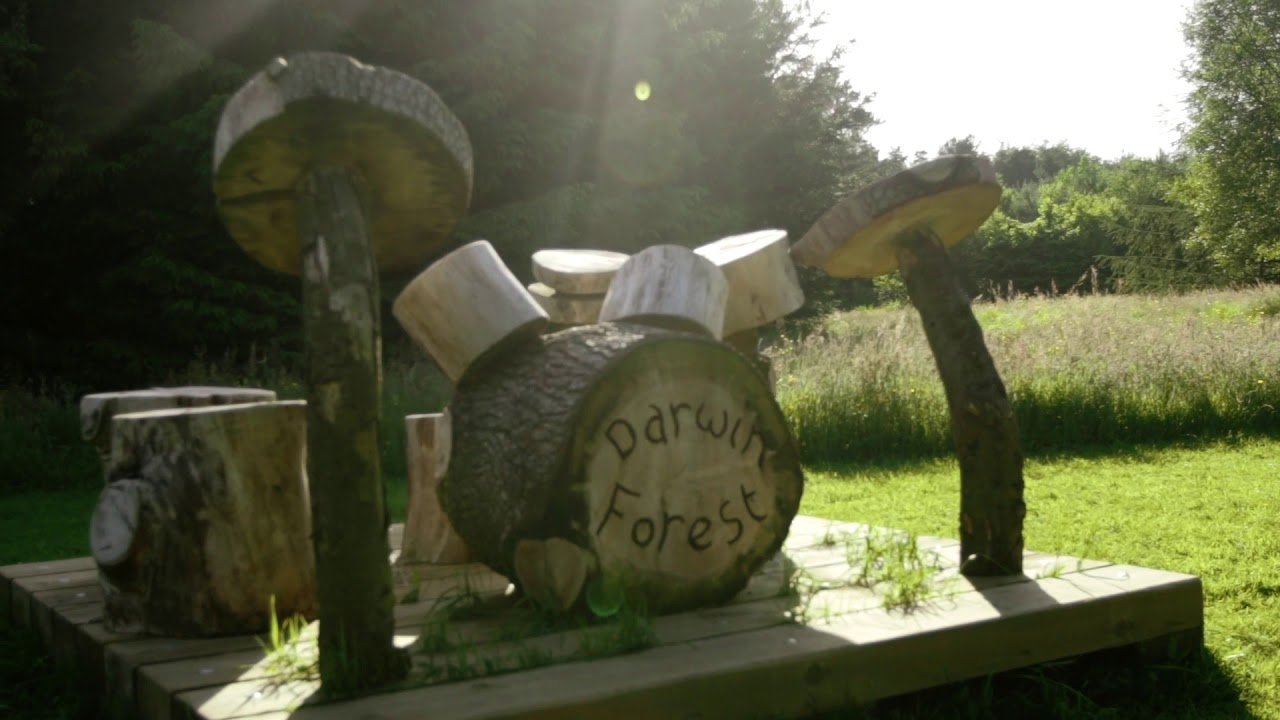 Lodge Holidays at Darwin Forest