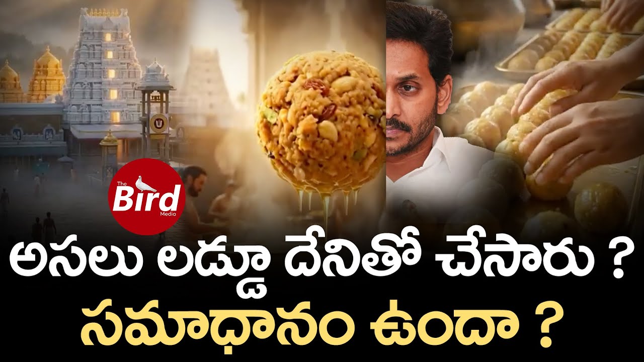 అసలు లడ్డూ దేనితో చేసారు ? సమాధానం ఉందా ? | How To Make Tirumala Laddu ? | Bird Media |