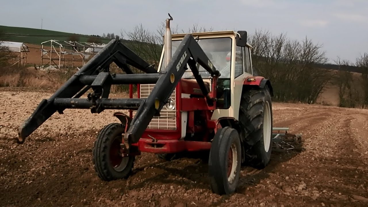 IHC 724 cultivation *SOUND*