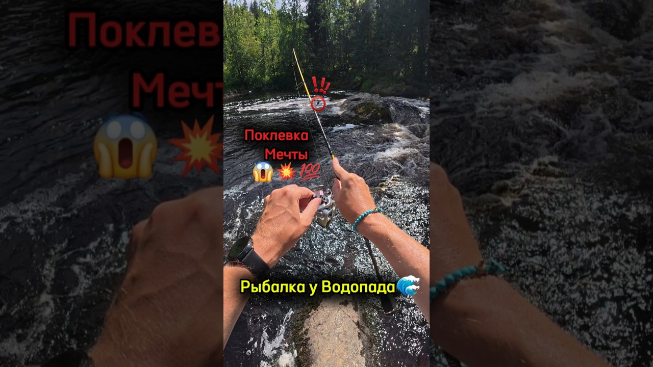 Рыбалка в Карелии💥💯✅ Поклевка мечты, что за рыба?!😱🙇&zwj;♂️🐟🌊 #fishing #рыбалка #карелия #форель #2025