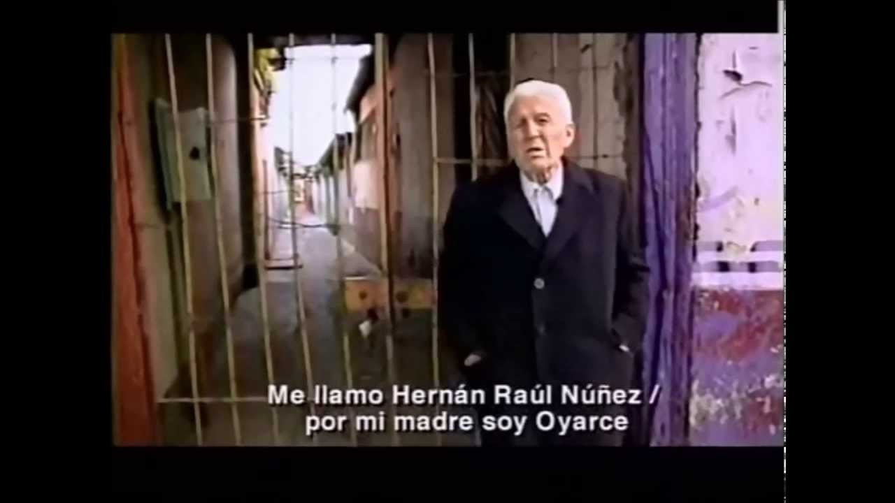 HERNAN RAUL NUÑEZ OYARCE 