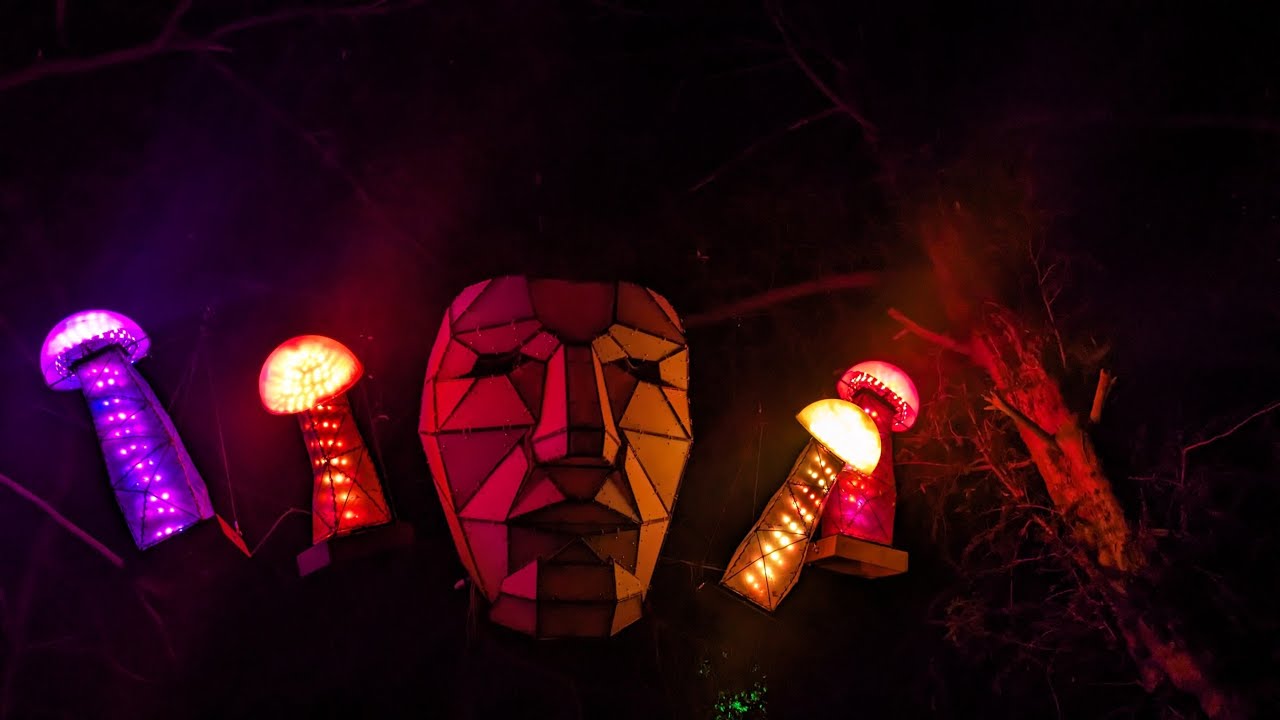 Seeing Resonance @ShambalaFestival
