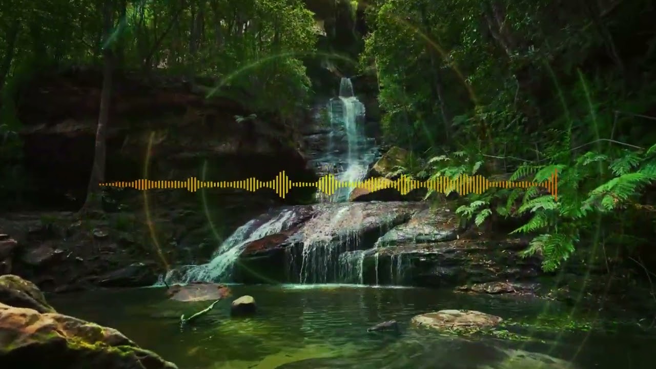 Dub Meditation   Instrumental
