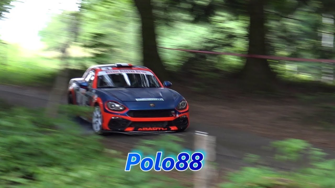 Rallye Ajolais 2023 - Mistakes & Big Flat-Out [HD] - Polo88