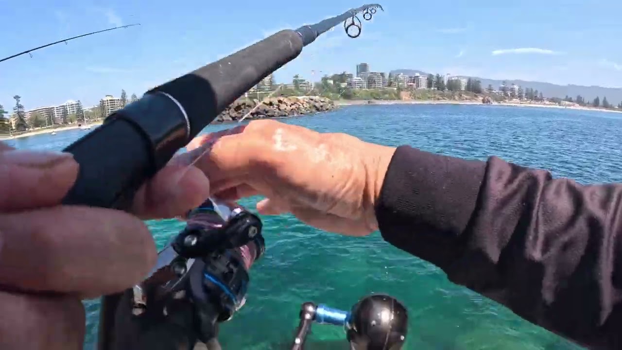 Wollongong other day fishing for mackerel with pilchards @ saturdays fishing with friends 
