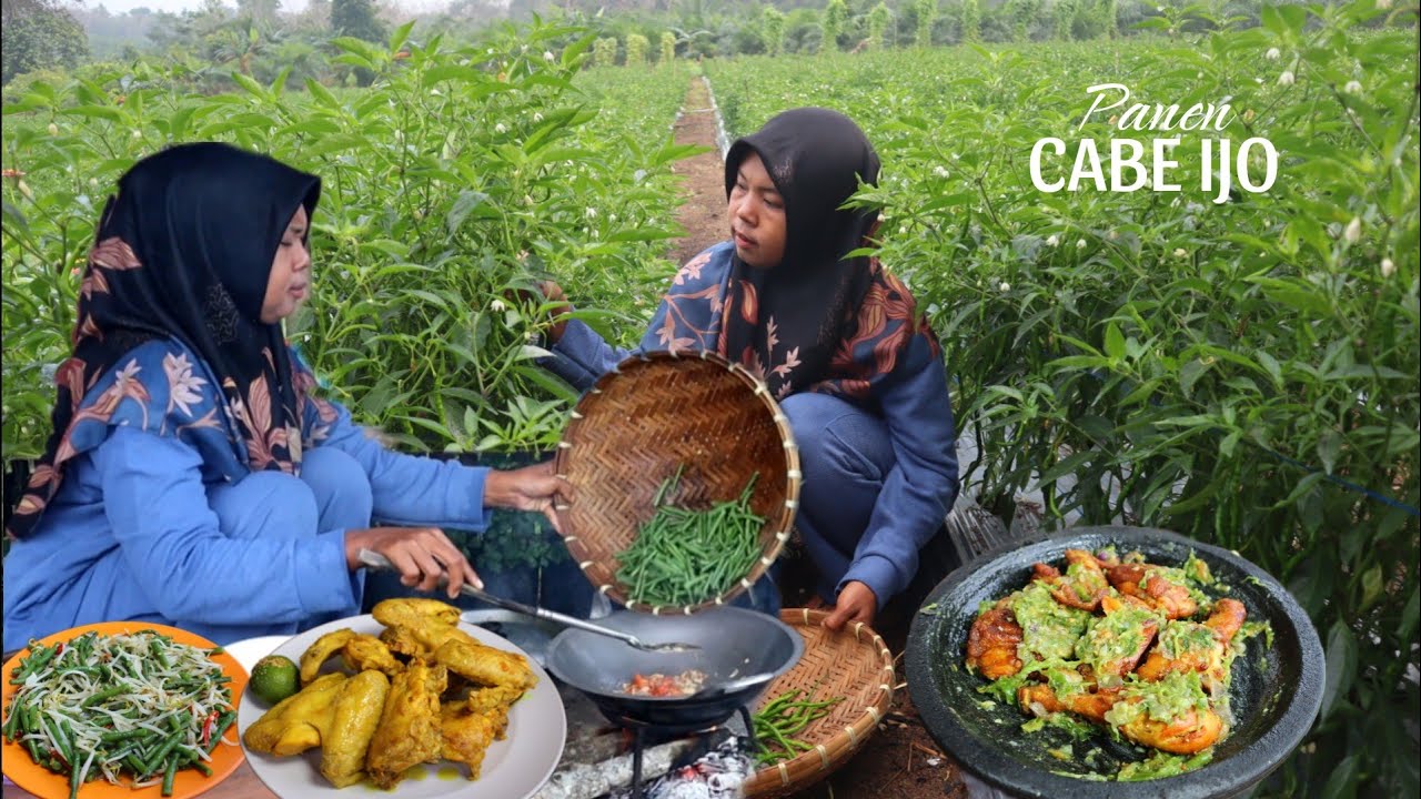 Gak nyangka seenak ini, Ayam penyet sambal cabe ijo, Tumis kacang toge, masakan desa