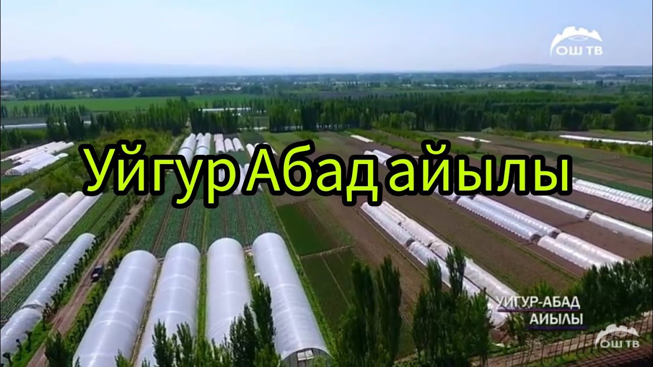 Уйгур Абад айылы Uygur Obod Тепе курган