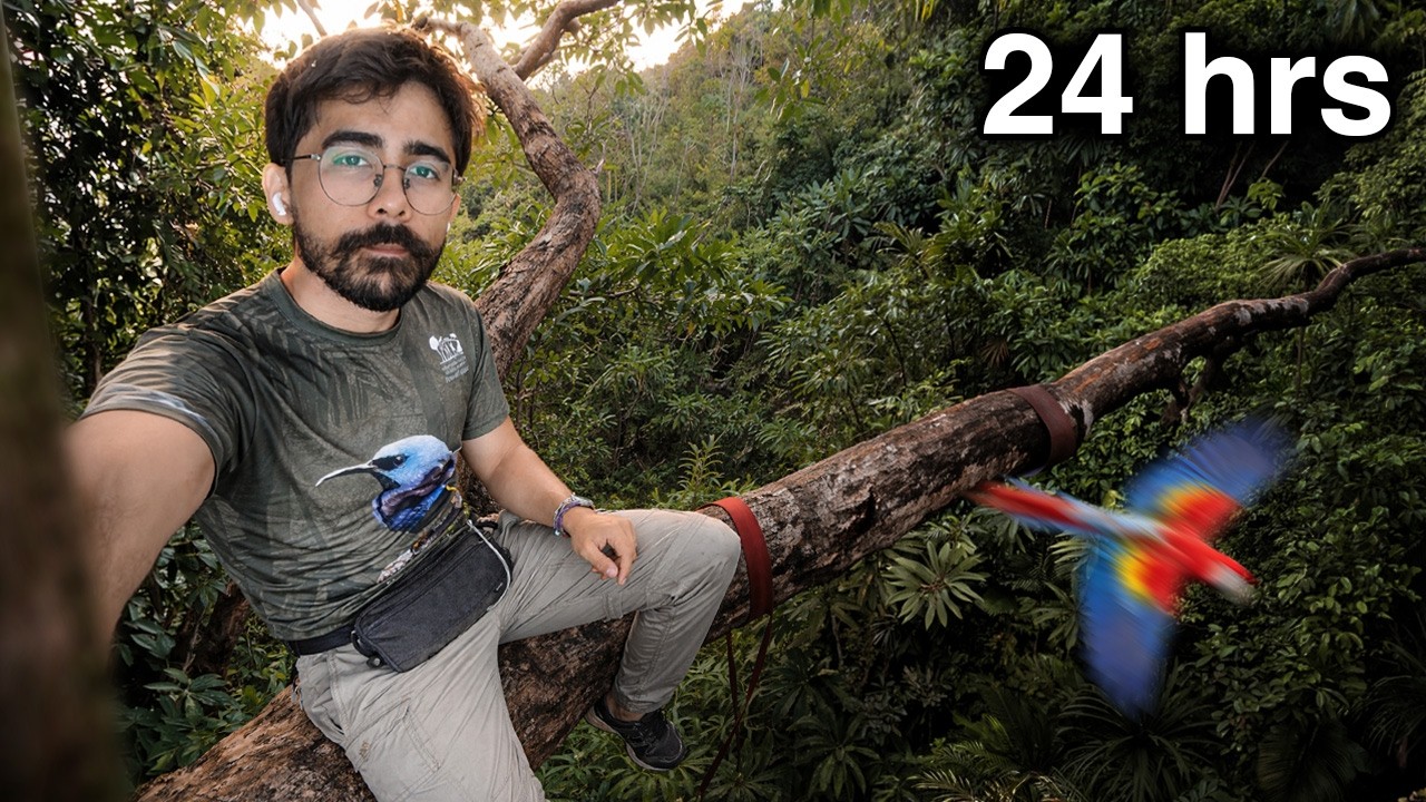 24 horas en la cima de un ARBOL