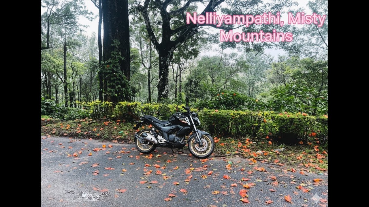 Solo Ride to Nelliyampathi: A Journey Through Nature's Masterpiece