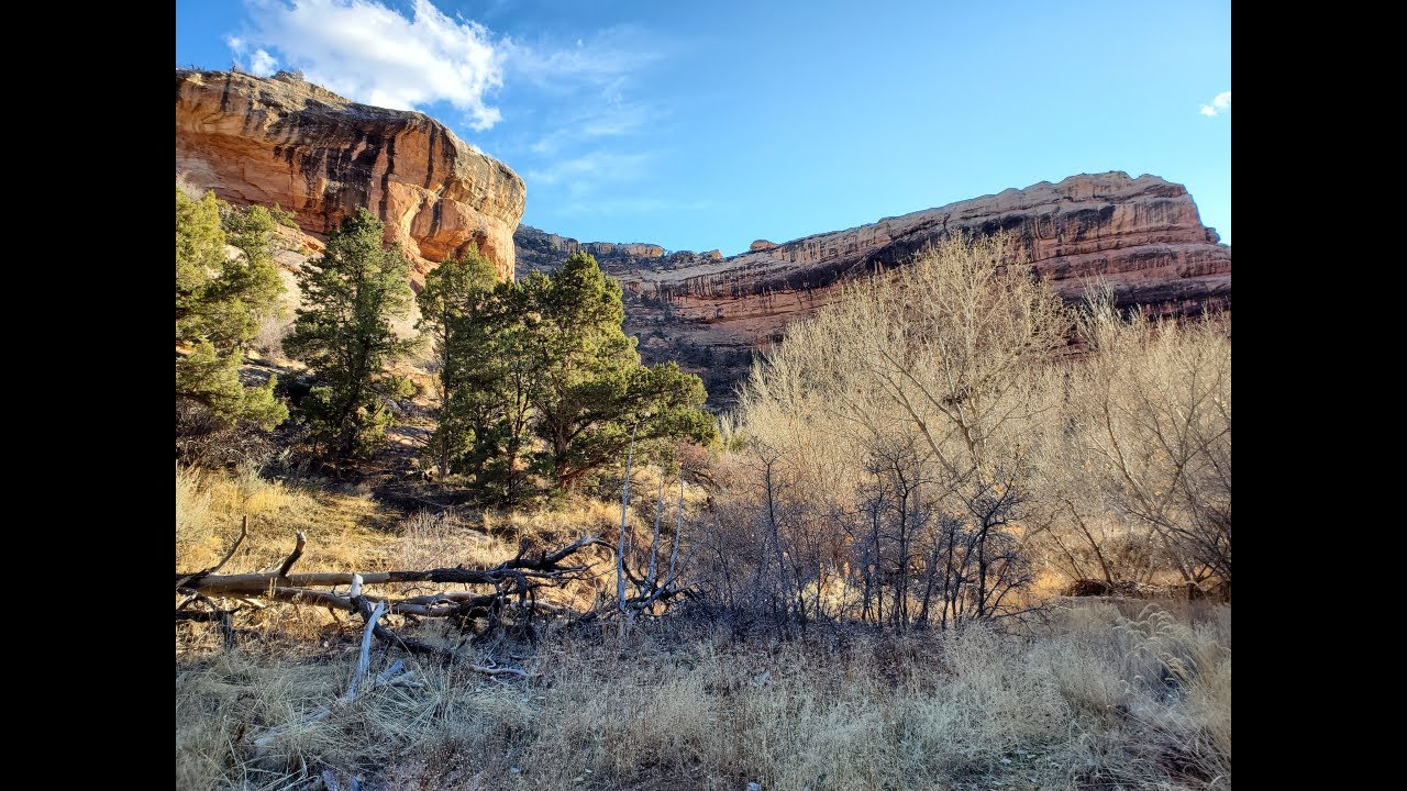 Grand Gulch: Kane Gulch to Bullet Canyon