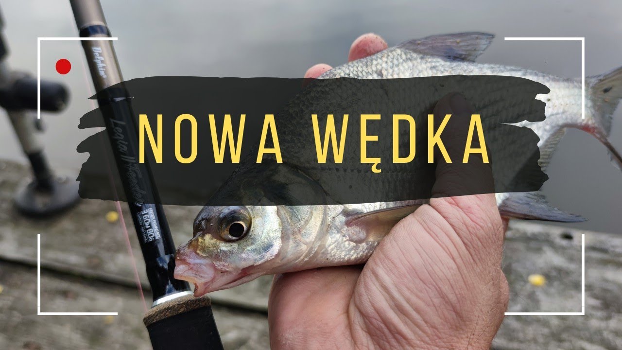 WĘDKARSTWO FEEDEROWE O PORANKU 🐟 #feeder #natura