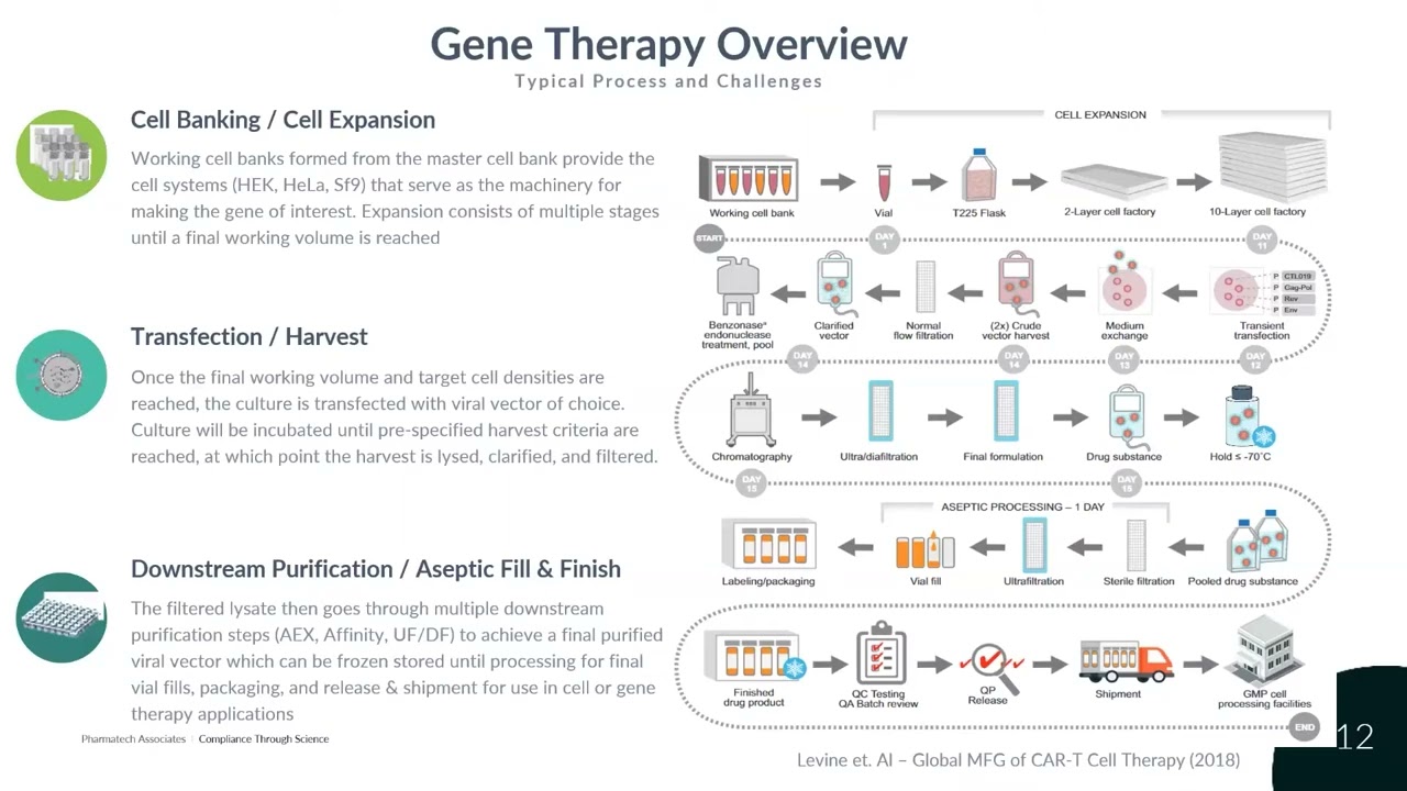 Cell & Gene Therapy Innovations to Drive Down Costs & Increase Efficiency