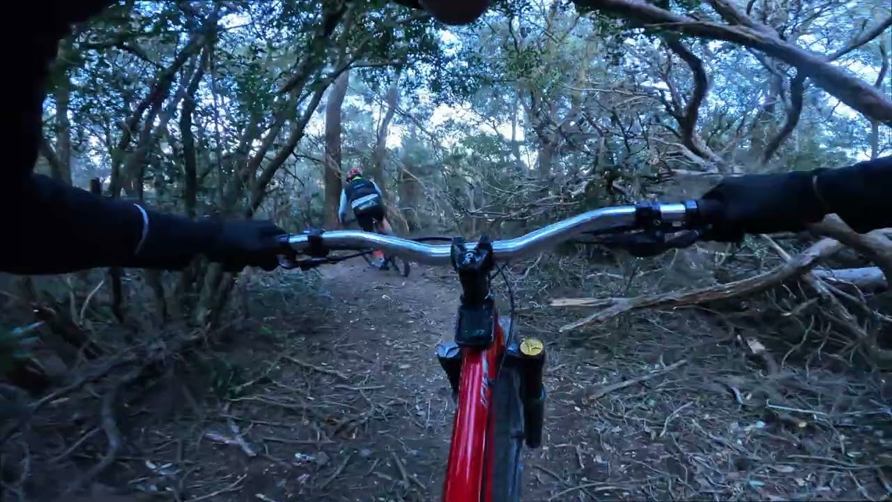 MTB Collserola | El Gusano Loco con Pedro | Hardtail