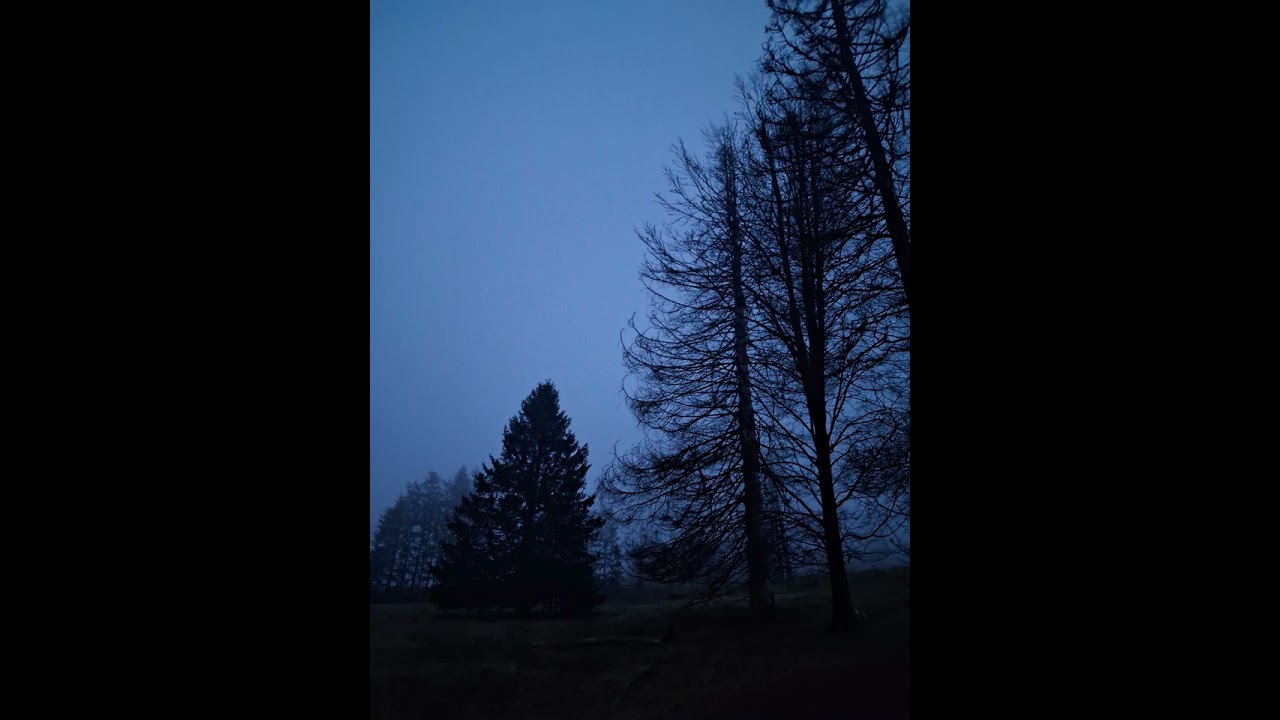Sterbende Welt  - Leigh Lo 