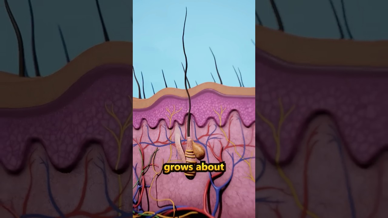 How Fast Does Your Hair Grow?