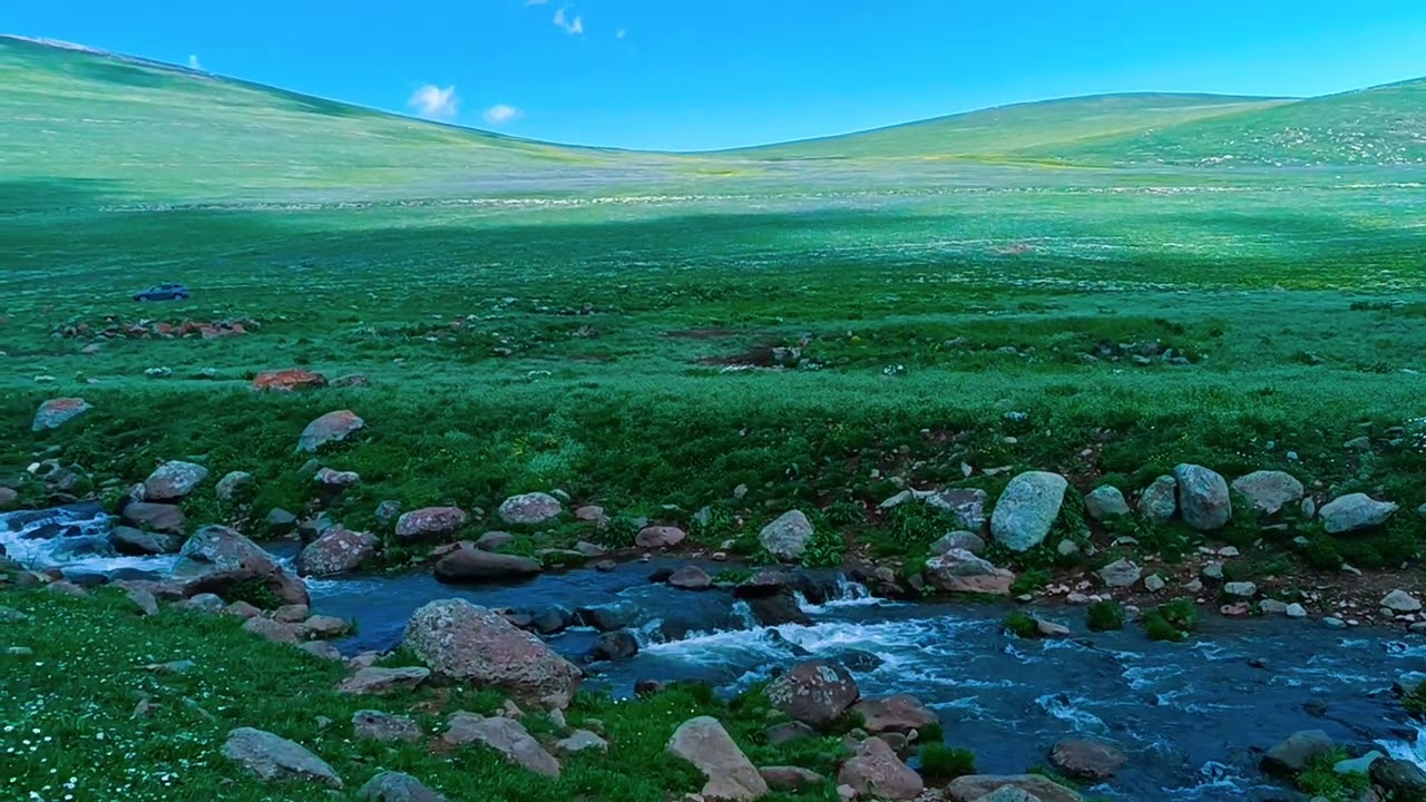 2024 yılı koyunpinar köyü yaylası
