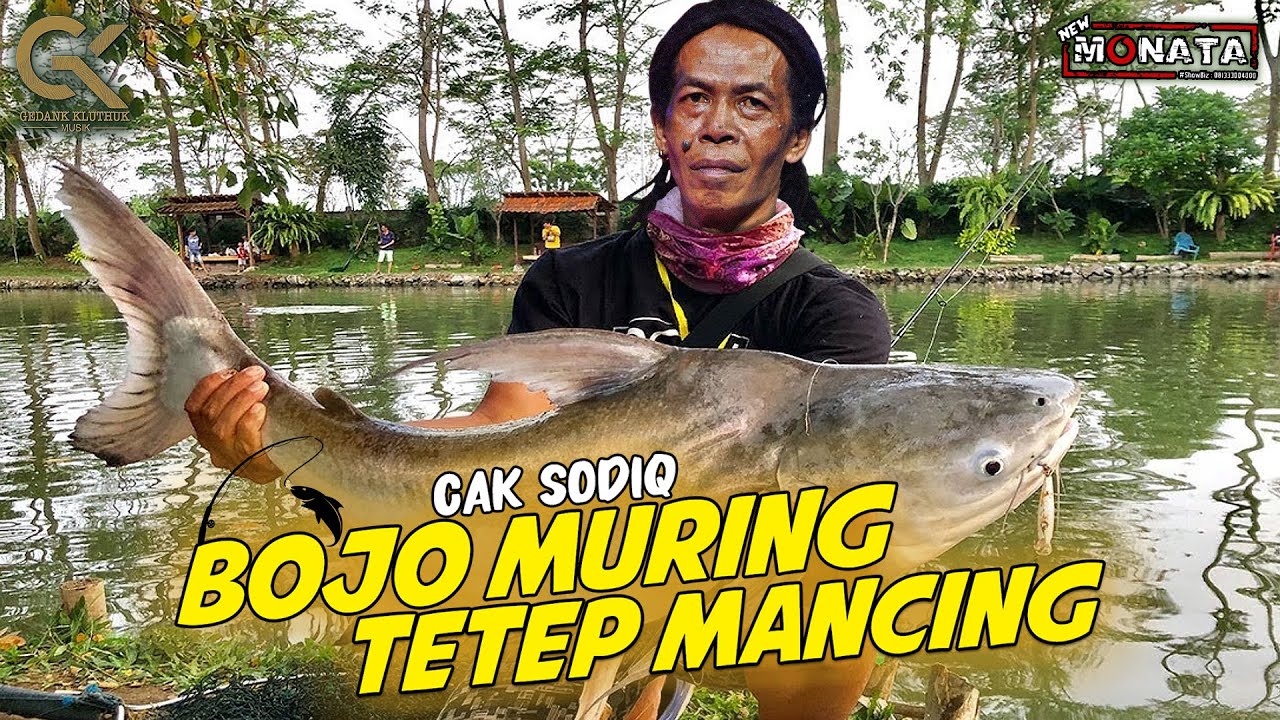 Cak Sodiq & New Monata - Bojo Muring Tetep Mancing (Official GK Musik Performance Video)