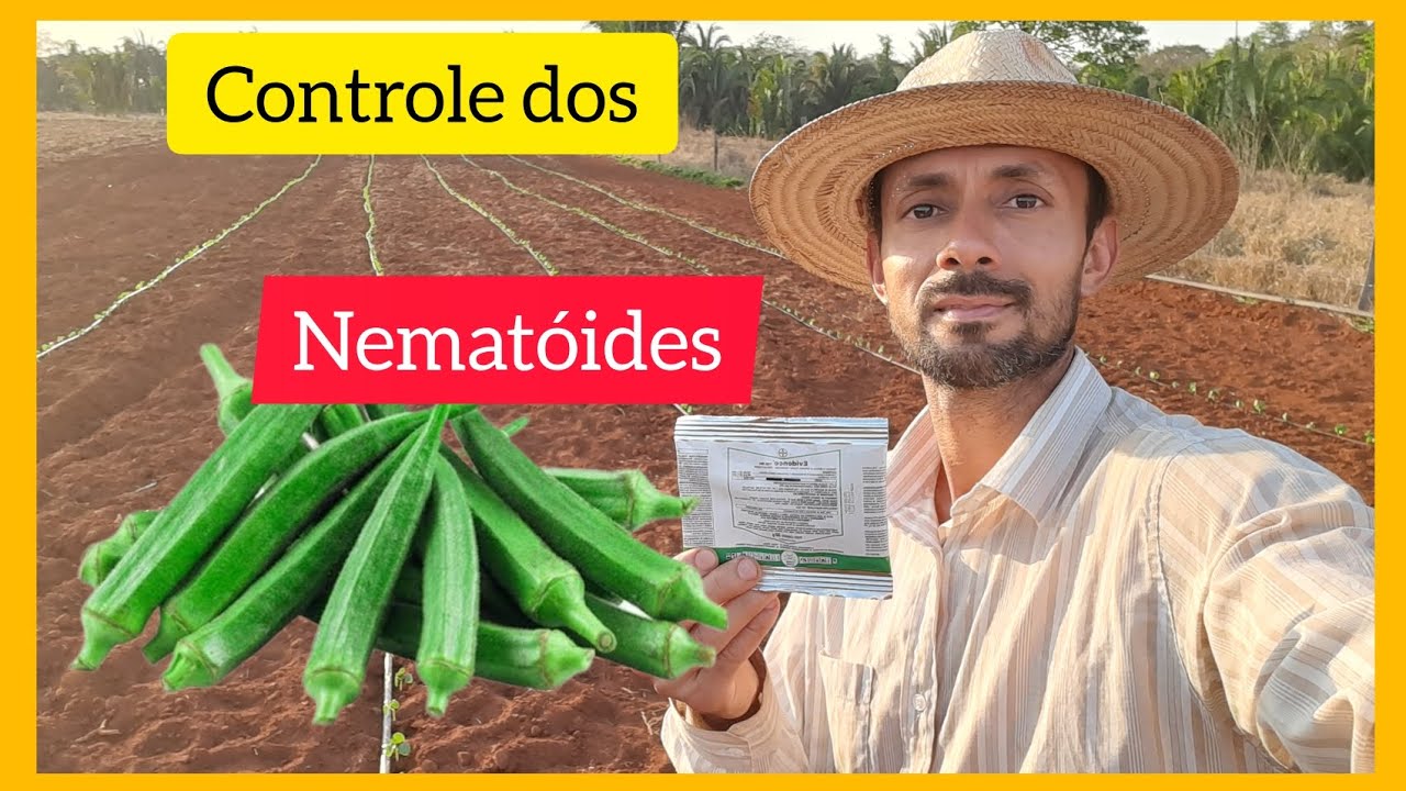 Como fazer o controle dos Nématoide,Tripis e Ácaros nas hortaliças, Quiabo,pimentão, beringela, jilo