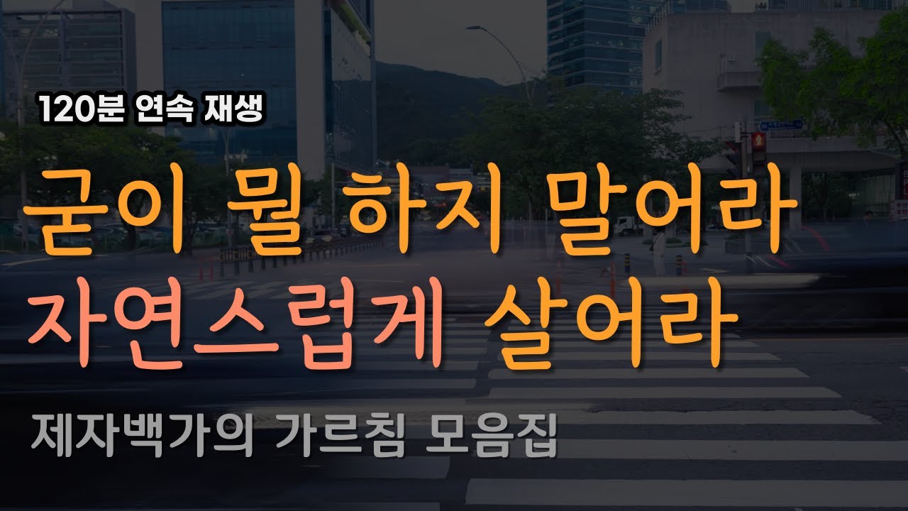 무언가를 이루기 위해 애쓰지 않는다ㅣ장자, 공자, 노자의 가르침ㅣ제자백가ㅣ잠잘 때 듣는 라디오, 오디오북ㅣ책 읽어주는 남자
