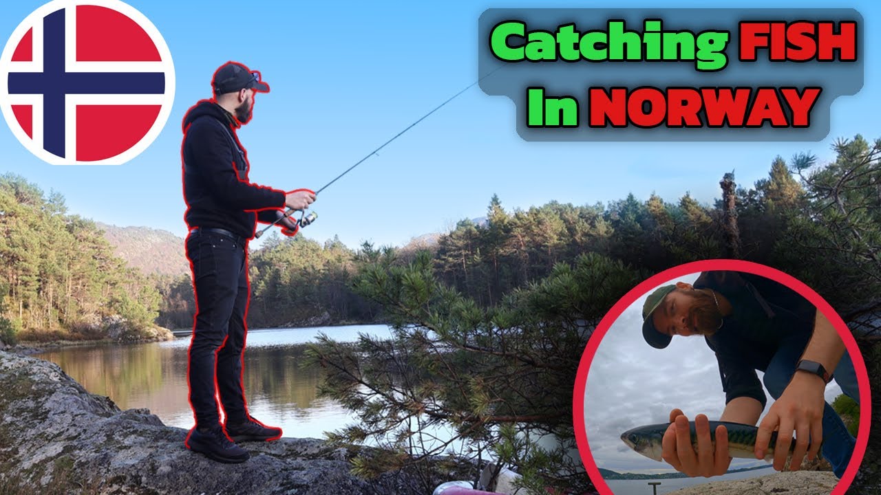 I Caught 5 Fish In Norway - Three Amazing Fishing Adventures