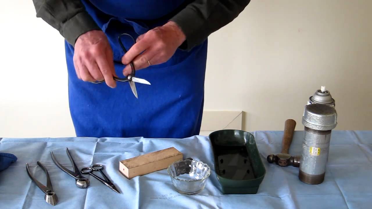 Bonsai Tool Sharpening from BonsaiInBuffalo.com