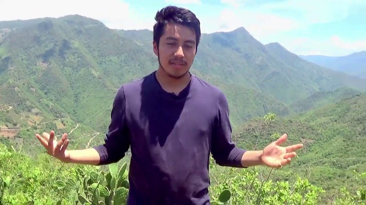 Un día en el campo 🤠( sierra norte Oaxaca México )