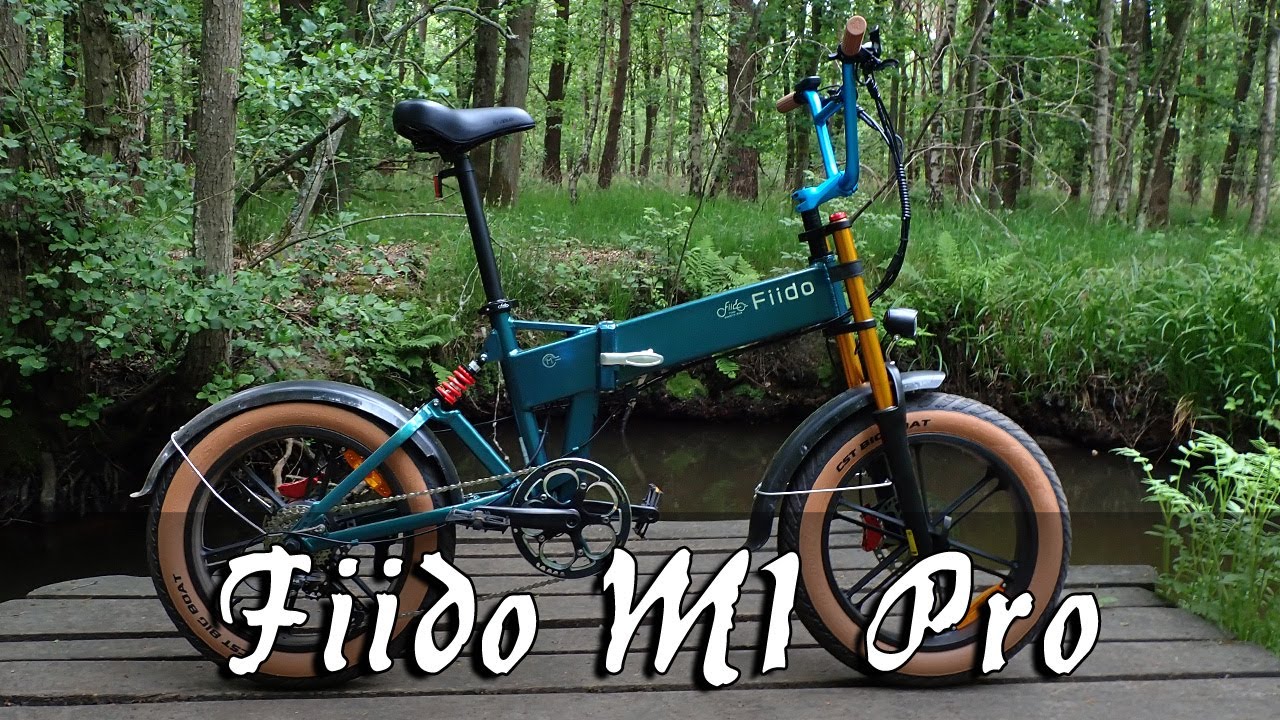 Review - Crossing The Borders - with the Fiido M1 Pro