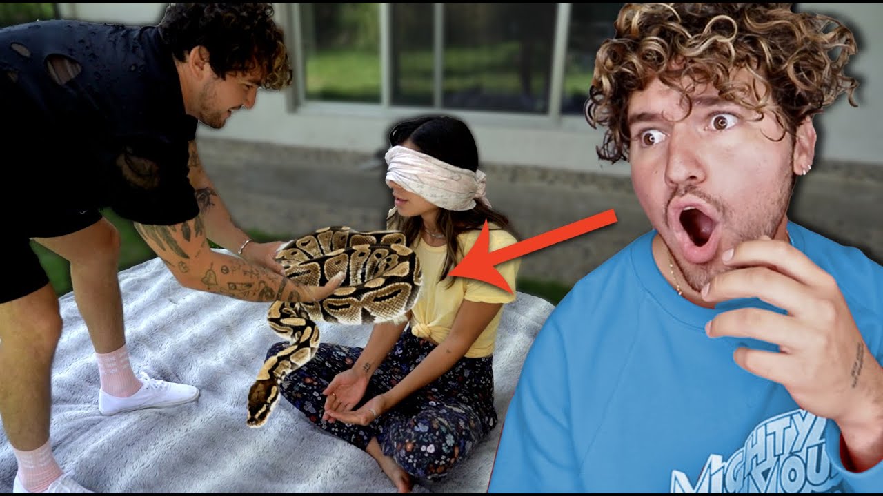 I Got My Girlfriend A New Pet.