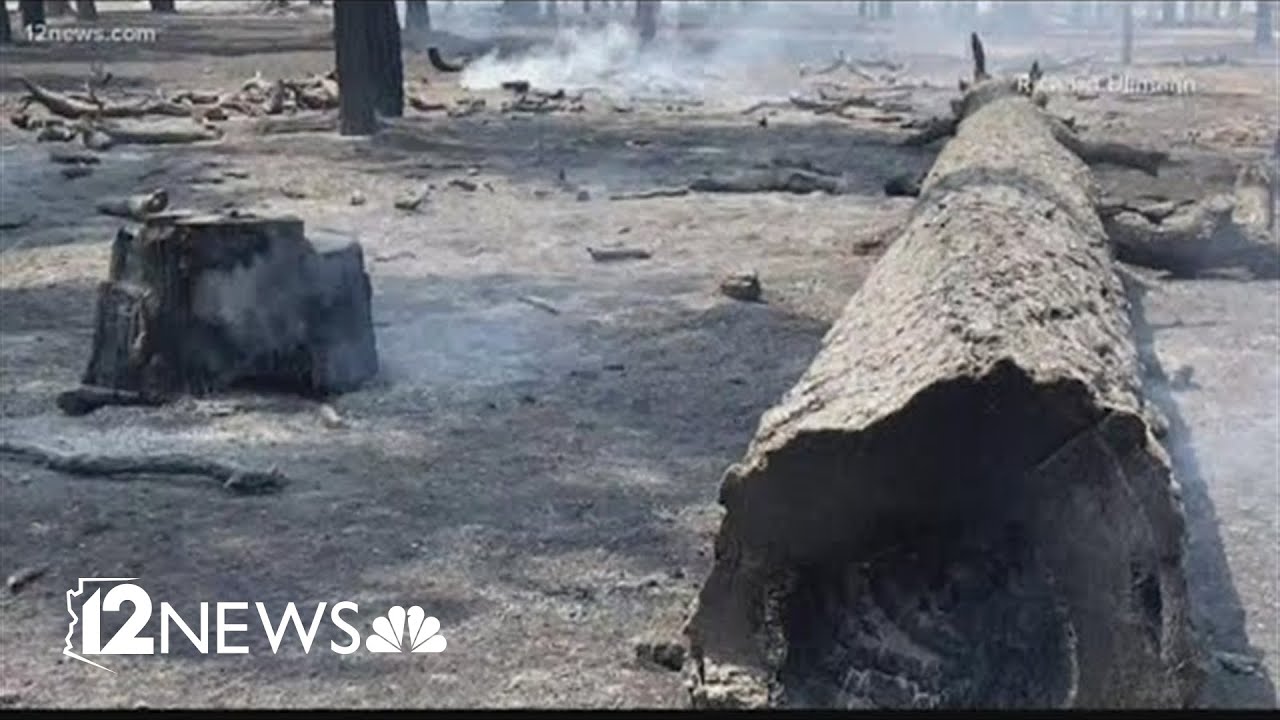 Sunset Crater Volcano National Monument 'burned in its entirety' by Tunnel Fire