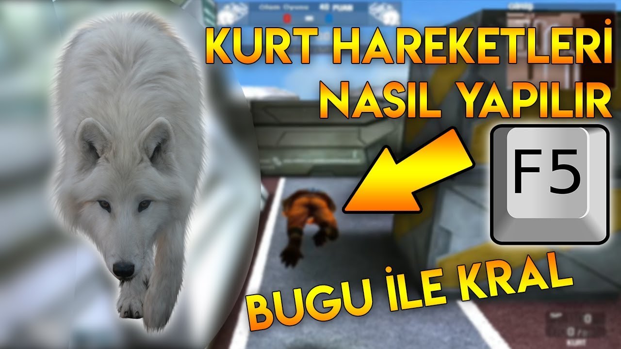 Wolfteam F5 BUGU İLE KURT HAREKETLERİ NASIL YAPILIR !? 1 G&Uuml;NDE TAKLA KRALI OLMAK :D - WOLFTEAM