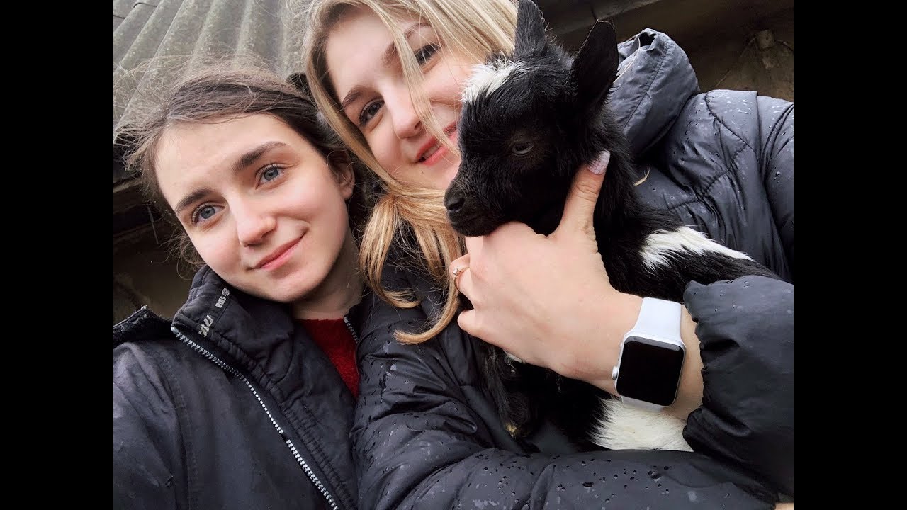VLOG Впервые приехала в село