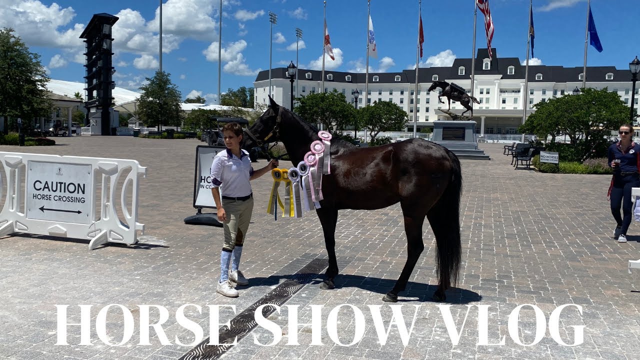 horse show vlog at the world equestrian center!