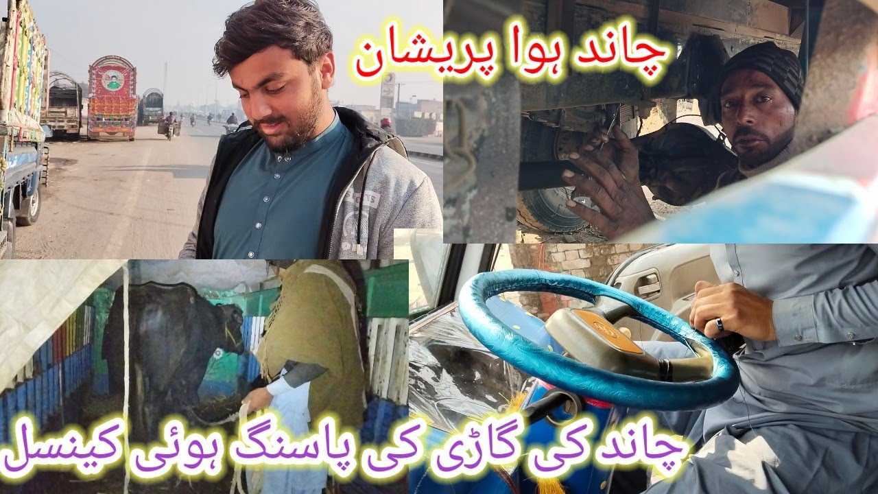 علی پور سے بلے جھولن پھر ملتان جانور کی لوڈنگ 🐂🐃🦬