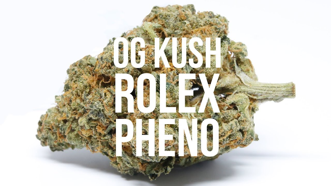 OG kush Rollex Pheno - International Highlife