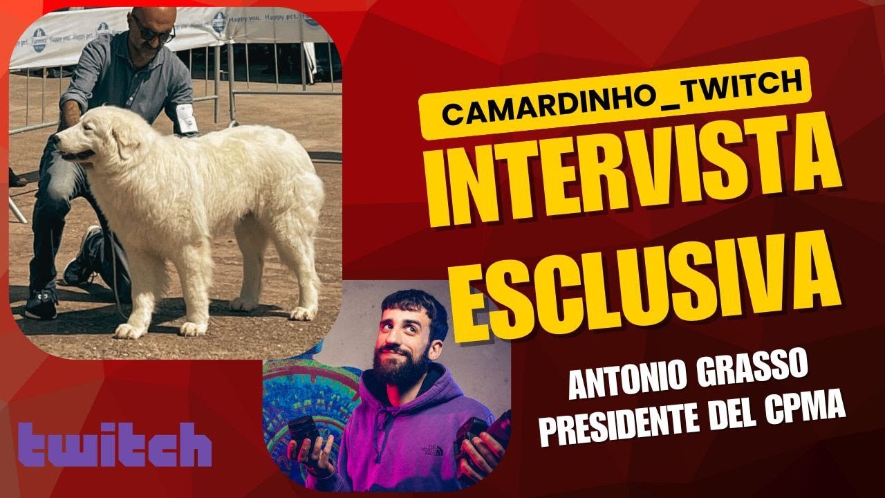 IL MIGLIOR CANE AL MONDO? INTERVISTA ESCLUSIVA AD ANTONIO GRASSO, PRESIDENTE DEL CPMA.