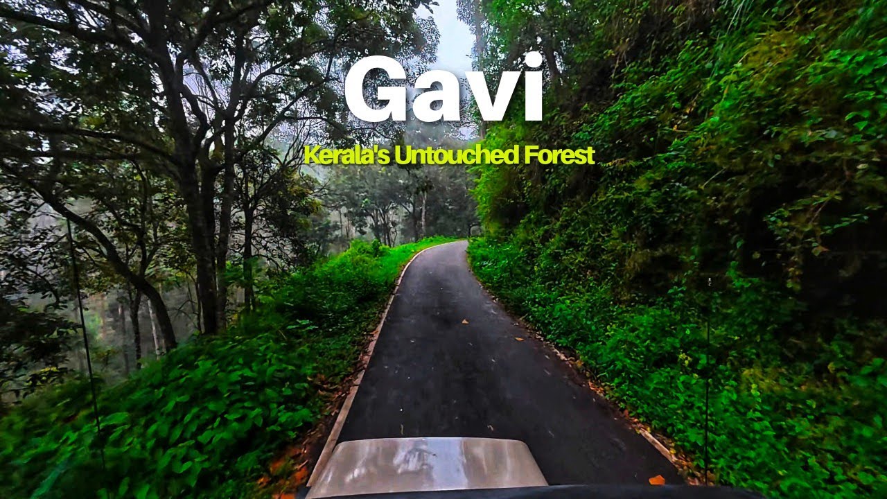 Exploring Gavi Forest with Forest Dept 🚙🌿 | Safari, Trek & Boating