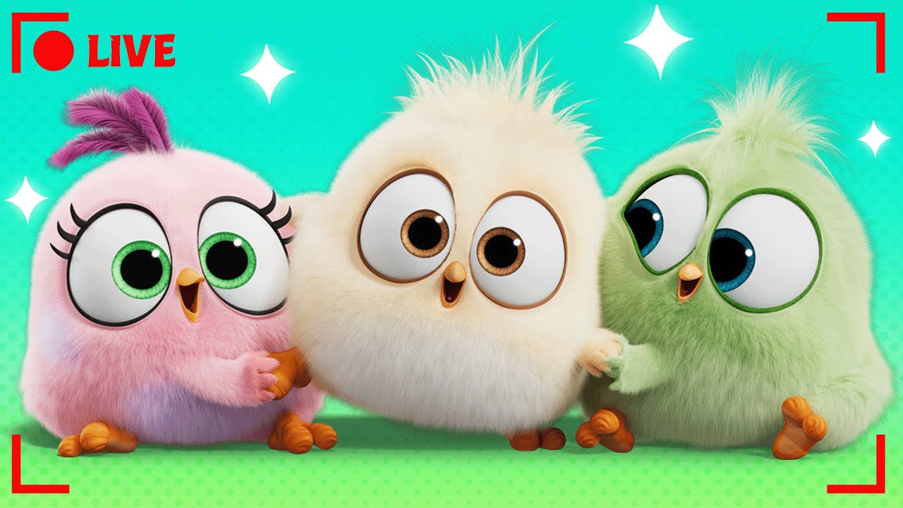 🔴 LIVE Angry Birds Mega Mix 🌴
