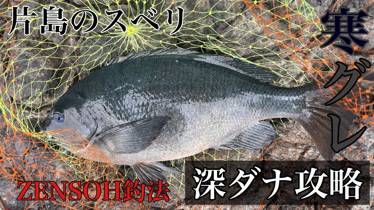 深ダナに潜む巨大グレ後半戦〜ゼロポインツTV〜