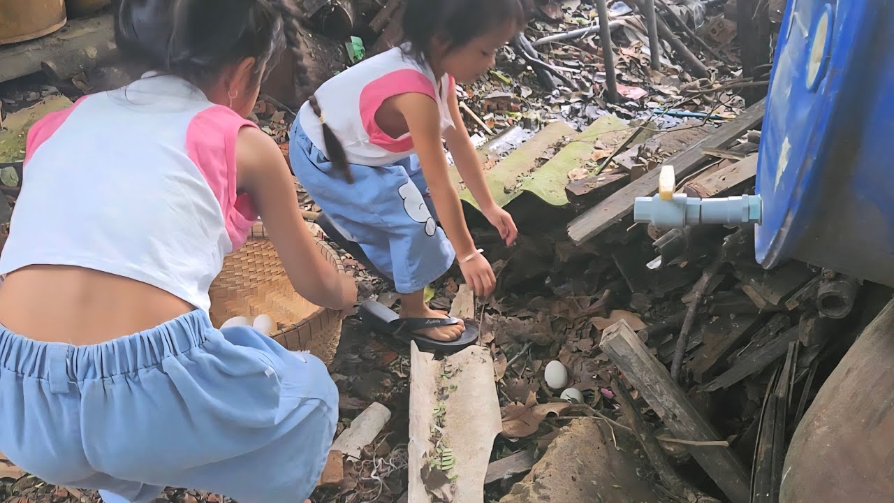 Sáng mới ngủ dậy mẹ đã bắt đi lụm trứng vịt trứng gà rồi, thấy vậy mà thật thú vị