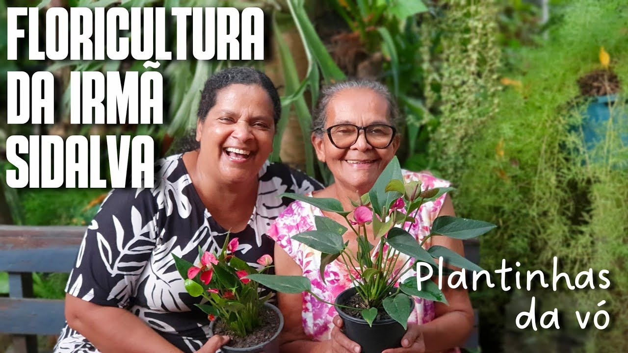 TOUR PELA FLORICULTURA DA IRMÃ SIDALVA A PROCURA DE PLANTAS DA VÓ: BEGÔNIA, EPISCIA, FOLHAGENS DA VÓ