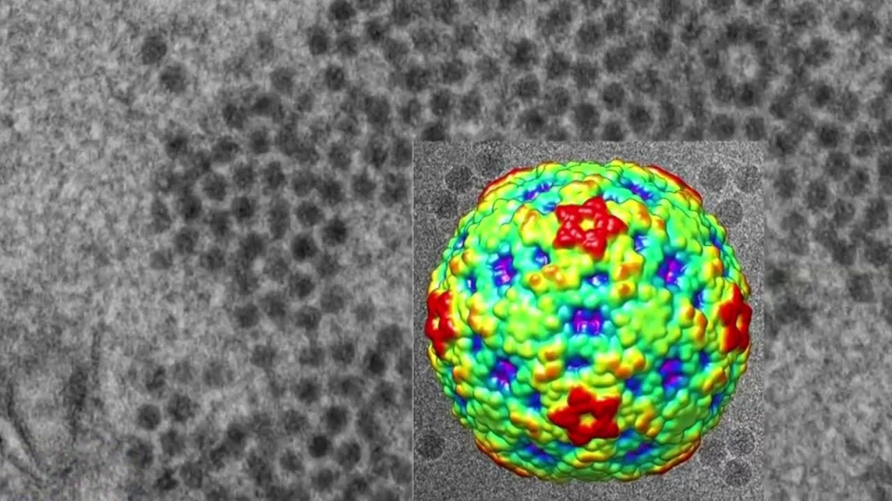 CDC urges parents to look for symptoms of rare &lsquo;polio-like&rsquo; illness in children