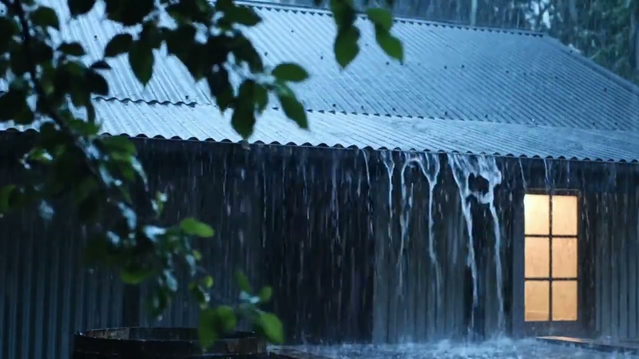 Rain in Nature for Calm and Relaxation