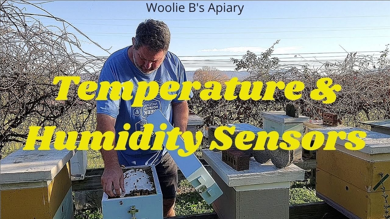 Temperature & Humidity Sensor in the hives